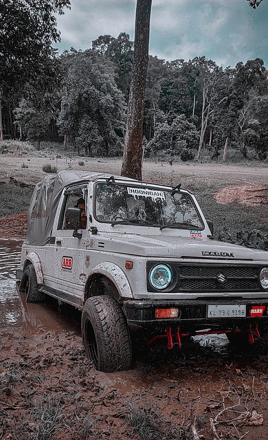 孙颖莎以出 孙颖莎以出