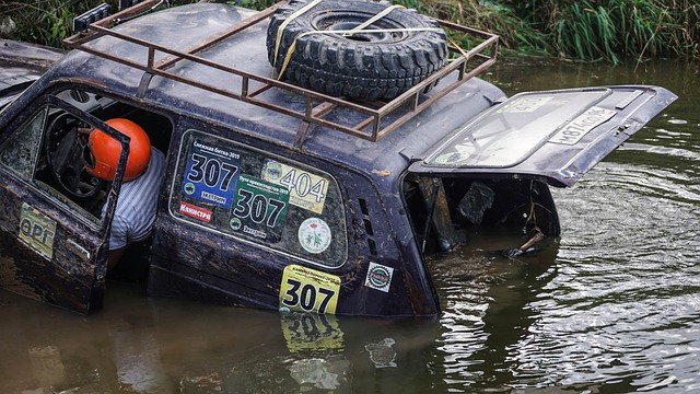这两支球队 这两支球队