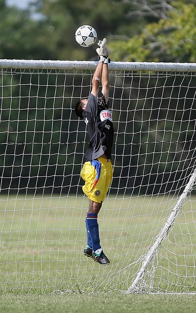 慶祝動作也 慶祝動作也