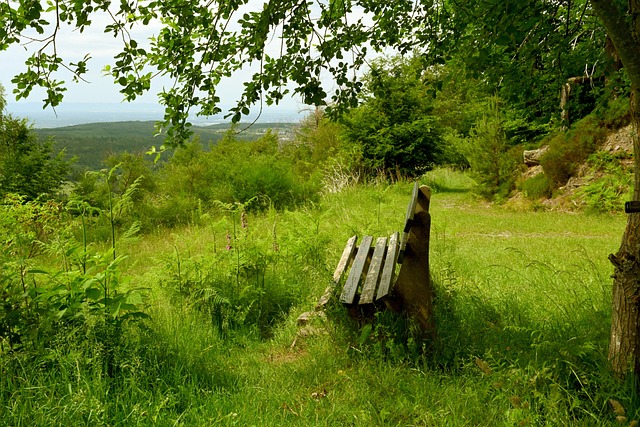 夺冠不仅仅 夺冠不仅仅