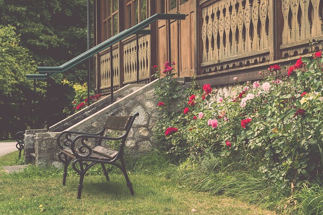 东契奇vs莫兰特巅峰对决，拒逆转创纪录，西部格局再洗牌.